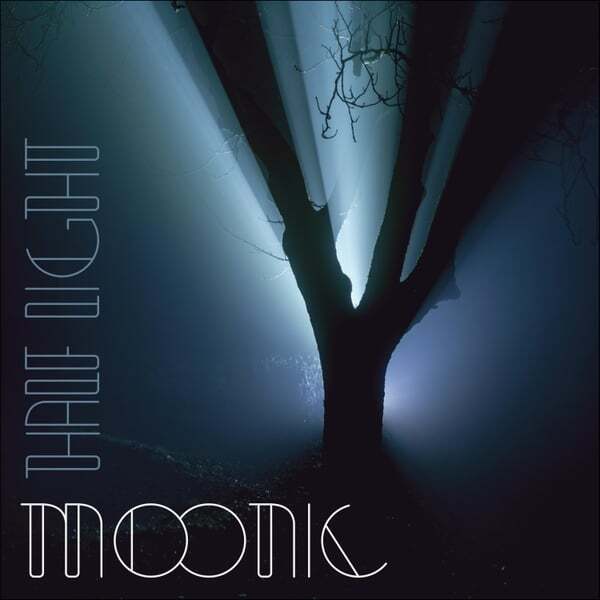 Cover art for Half Light